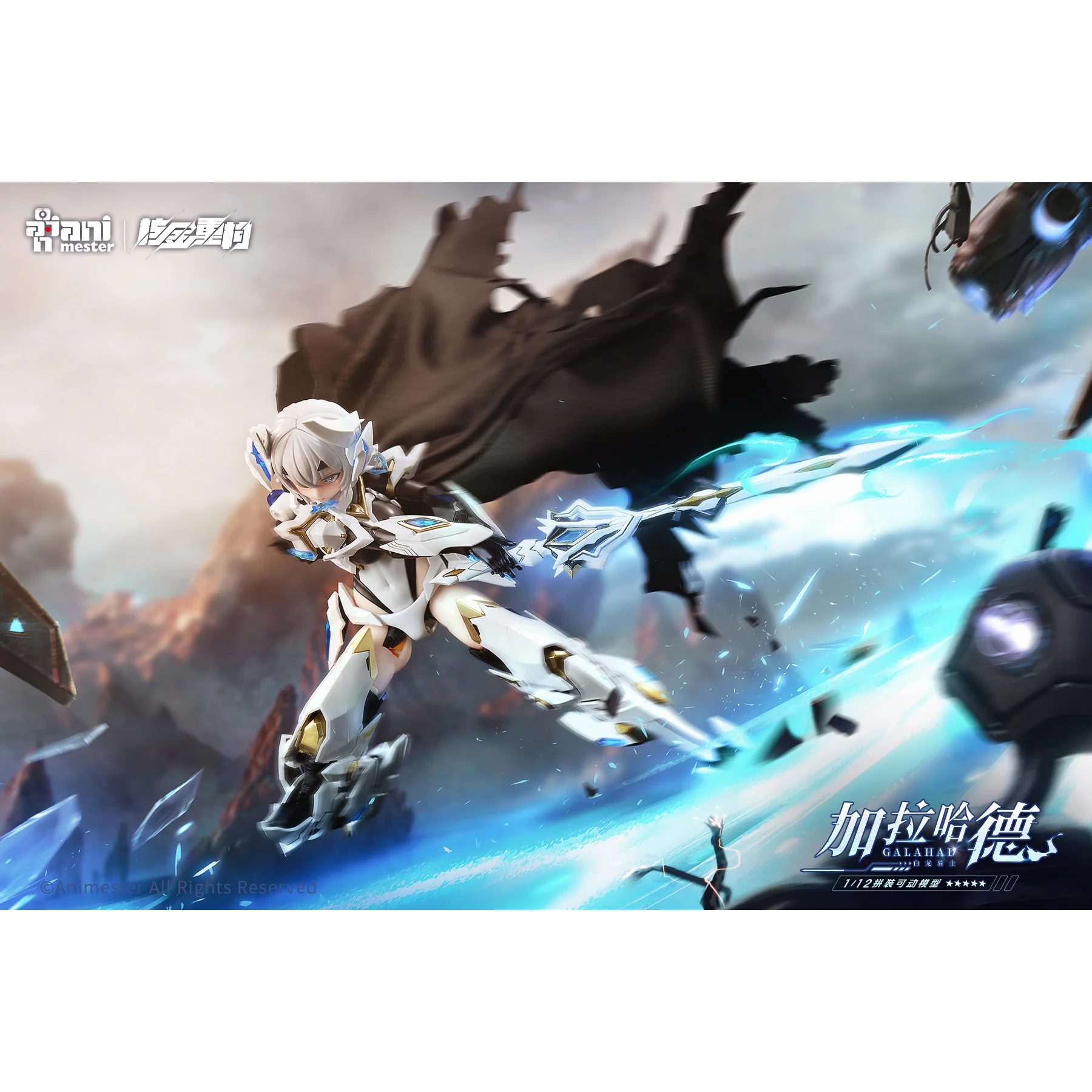 Product image 12